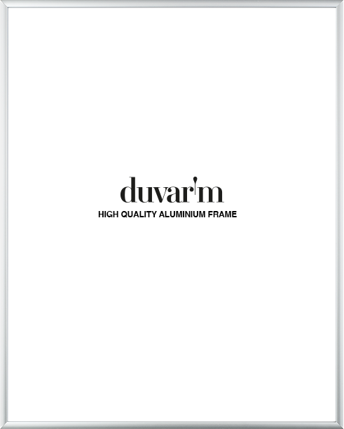 Bilderrahmen Silber - 40x50