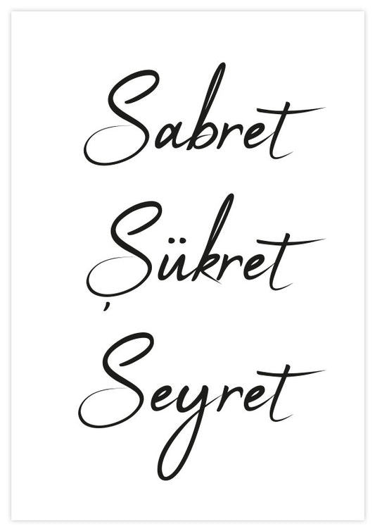 Sabret Sükret Seyret Poster