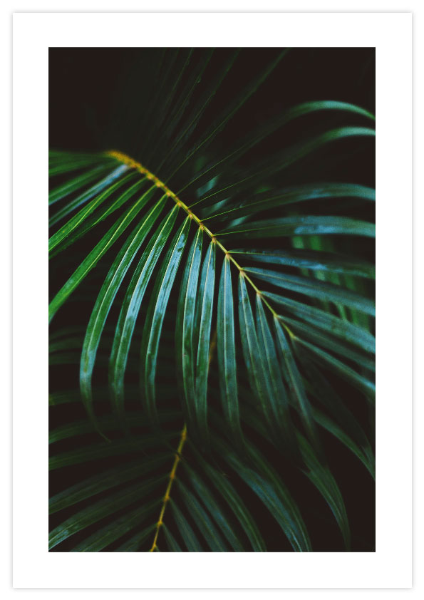 green leaves Poster